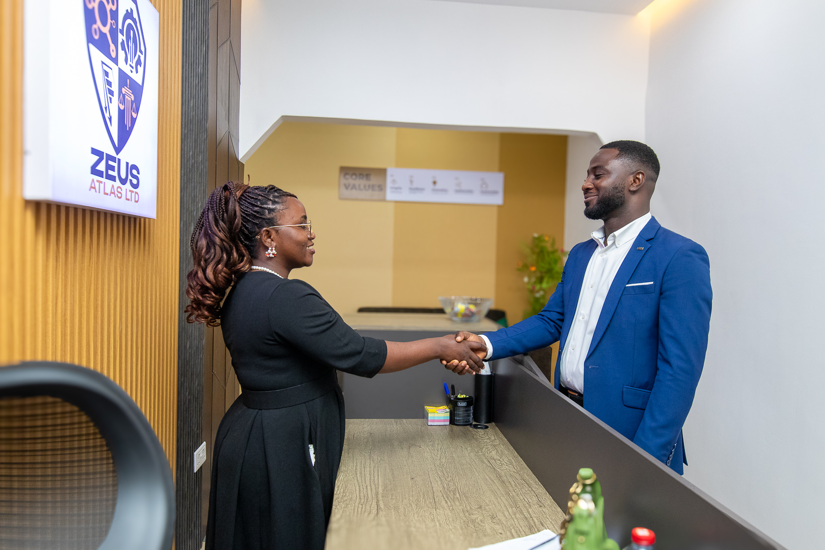 Professional consultancy services